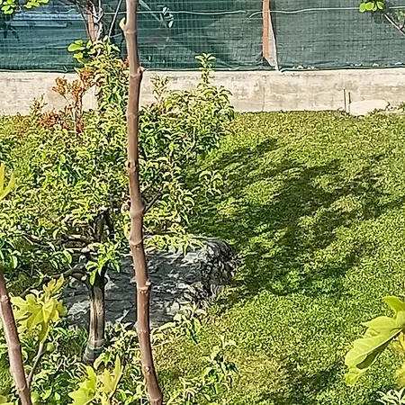 Amalia Apartament Sarre