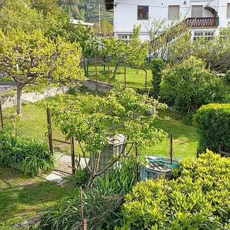 Amalia Apartament